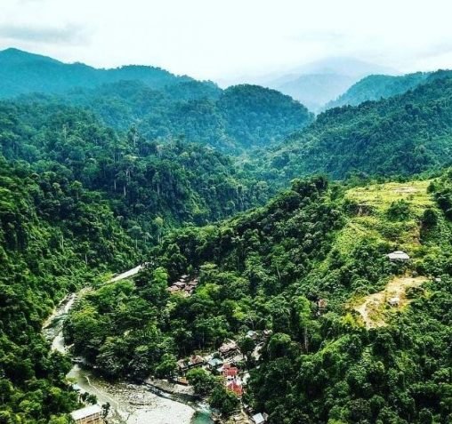 Menjelajahi Wisata Alam Bukit Lawang Di Medan